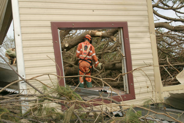 Best Tree Risk Assessment  in Suitland, MD